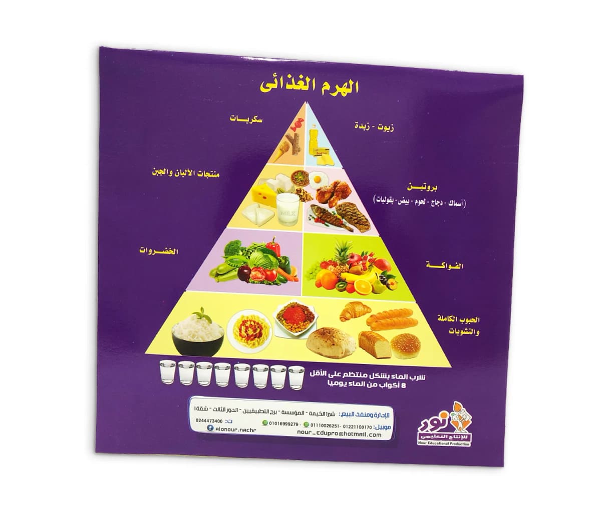 الهرم الغذائي - صورة 4
