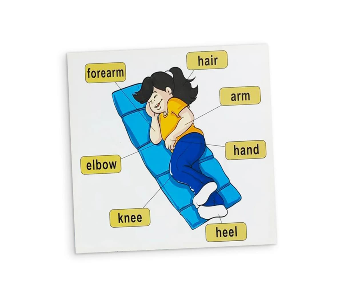 My Body - صورة 7